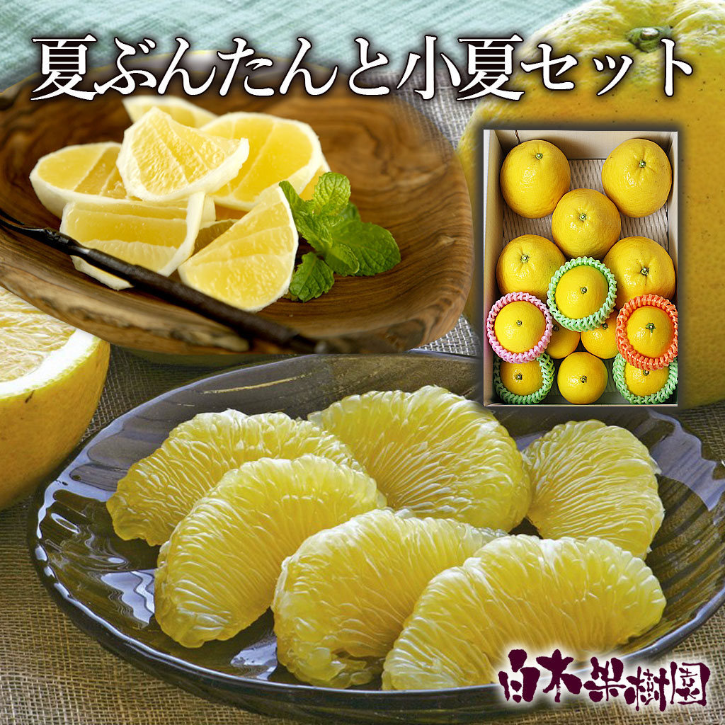 夏ぶんたんと小夏の詰め合わせセット