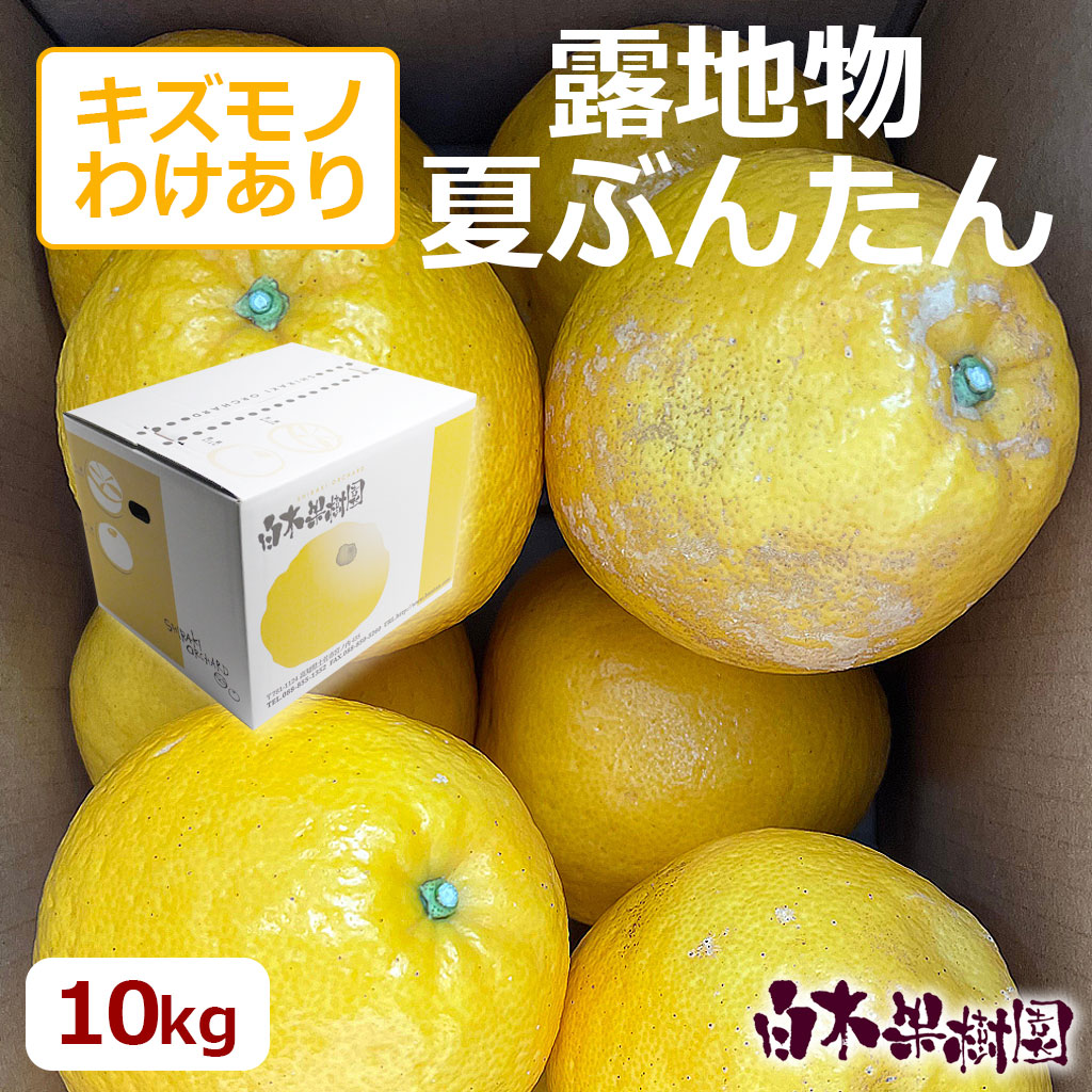 露地夏ぶんたん　ご家庭用約10kg