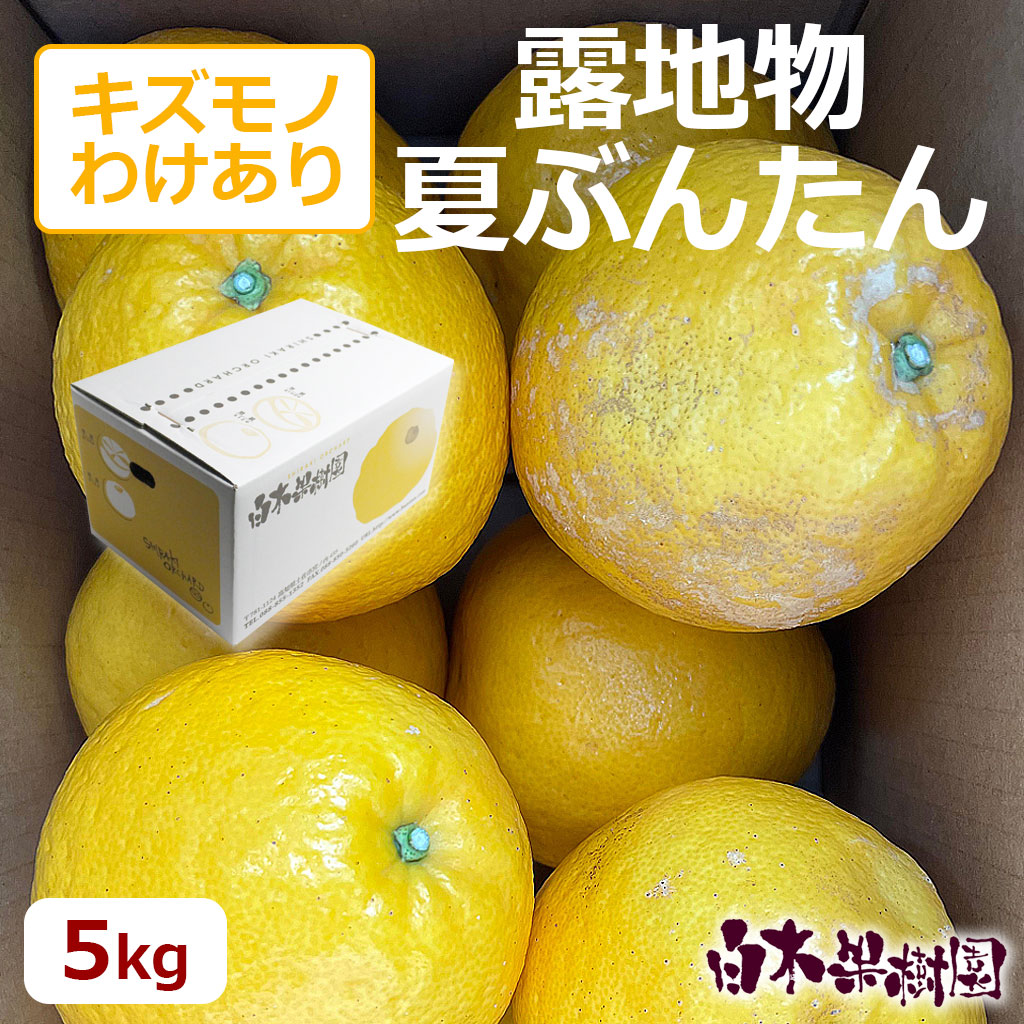 露地夏ぶんたん　ご家庭用約5g