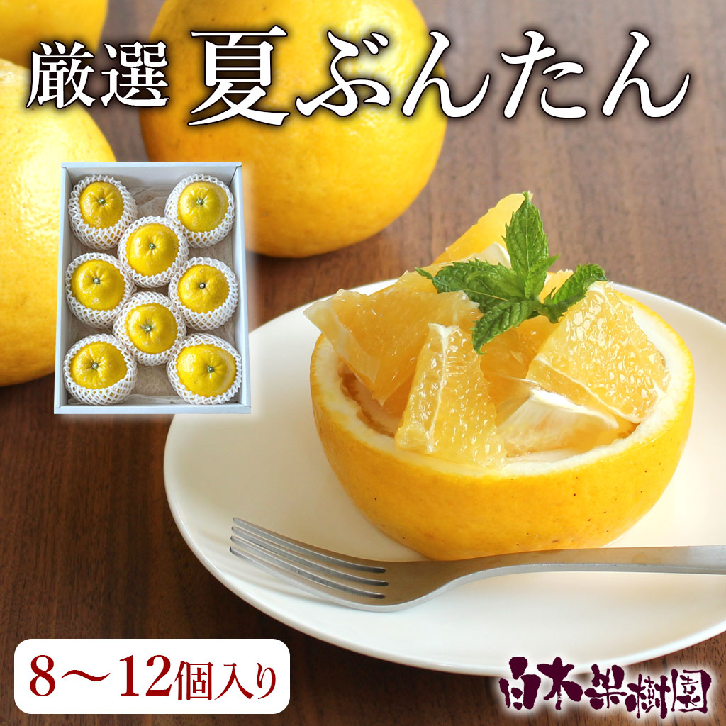 厳選夏ぶんたん化粧箱入り