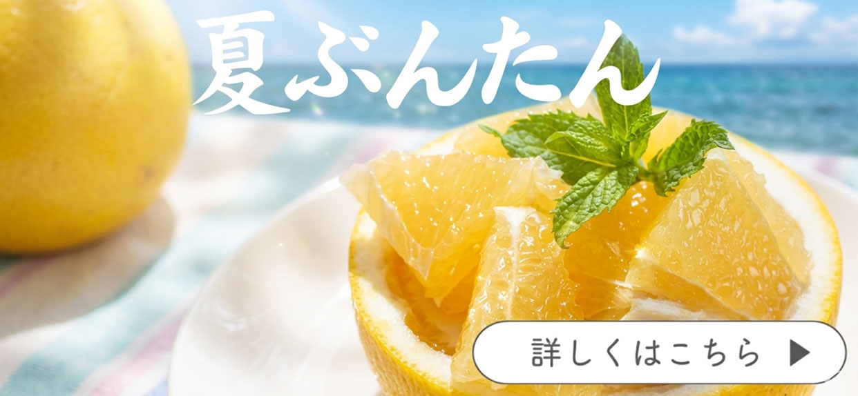 夏ぶんたん　河内晩柑　美生柑　宇和ゴールド