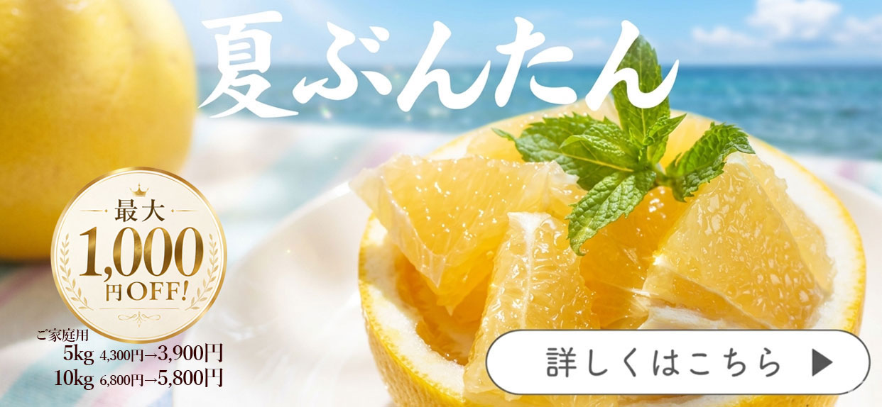 夏ぶんたん　河内晩柑　美生柑　宇和ゴールド