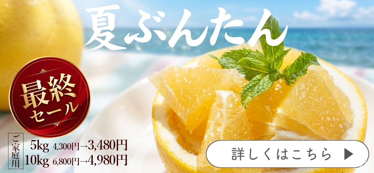 夏ぶんたん　河内晩柑　美生柑　宇和ゴールド