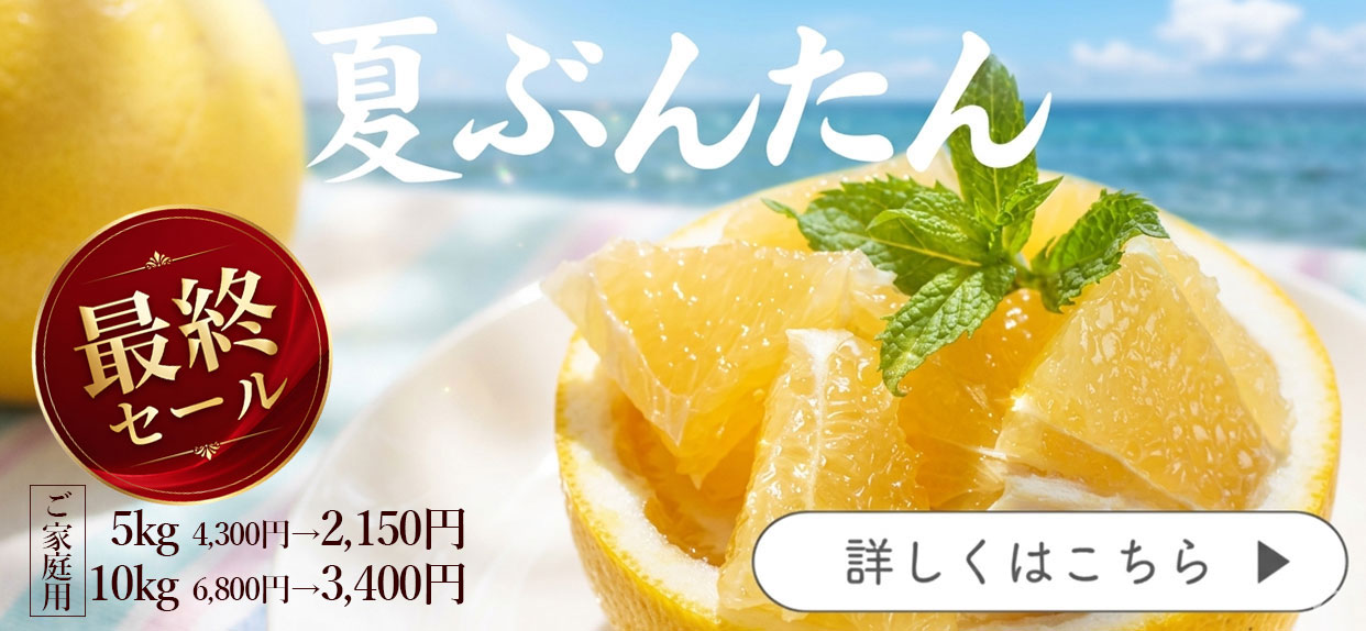 夏ぶんたん　河内晩柑　美生柑　宇和ゴールド