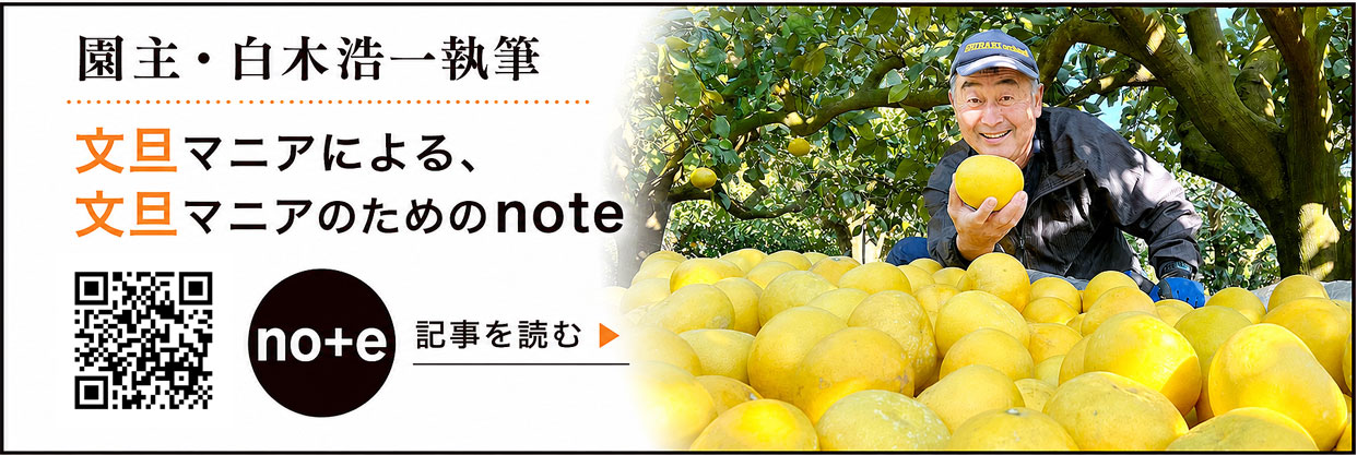 note　ノート　文旦マニア　ぶんたん
