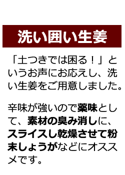 洗い囲い生姜の説明