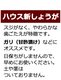 ハウス新しょうがの説明