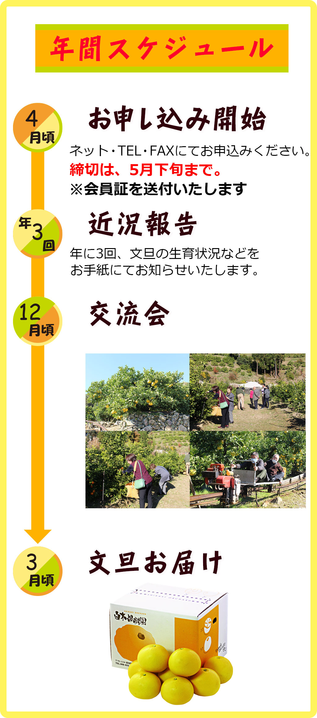 年間スケジュール