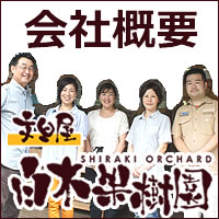 白木果樹園の会社概要