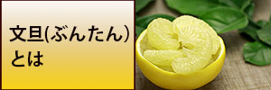 文旦（ぶんたん）とは