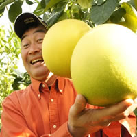 白木果樹園、園主：白木浩一