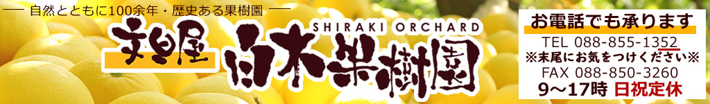 文旦屋・白木果樹園トップページへ