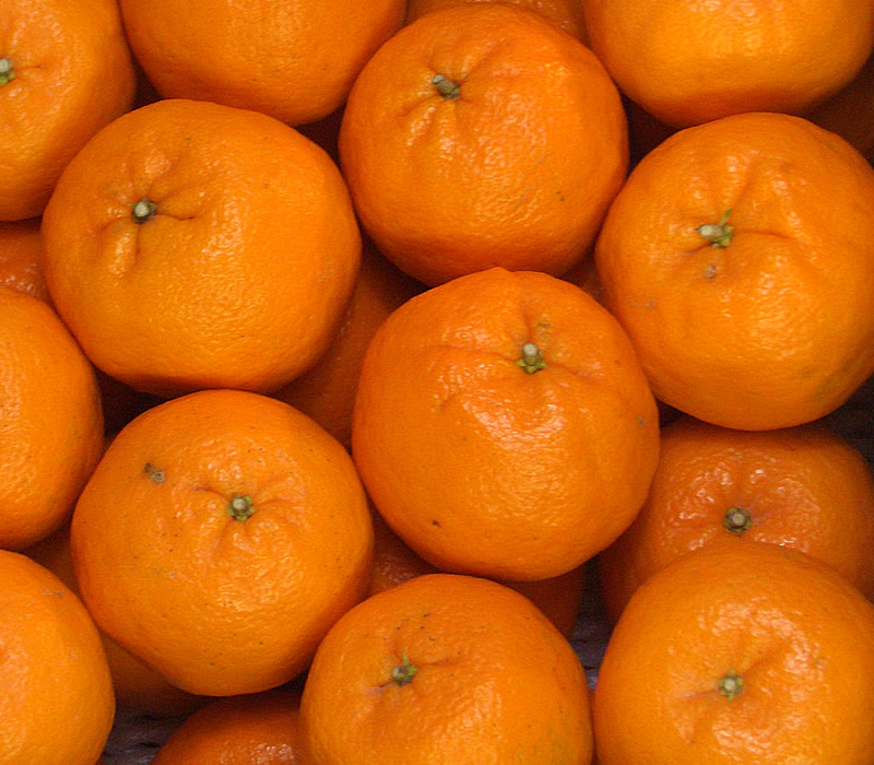 並んだぽんかん