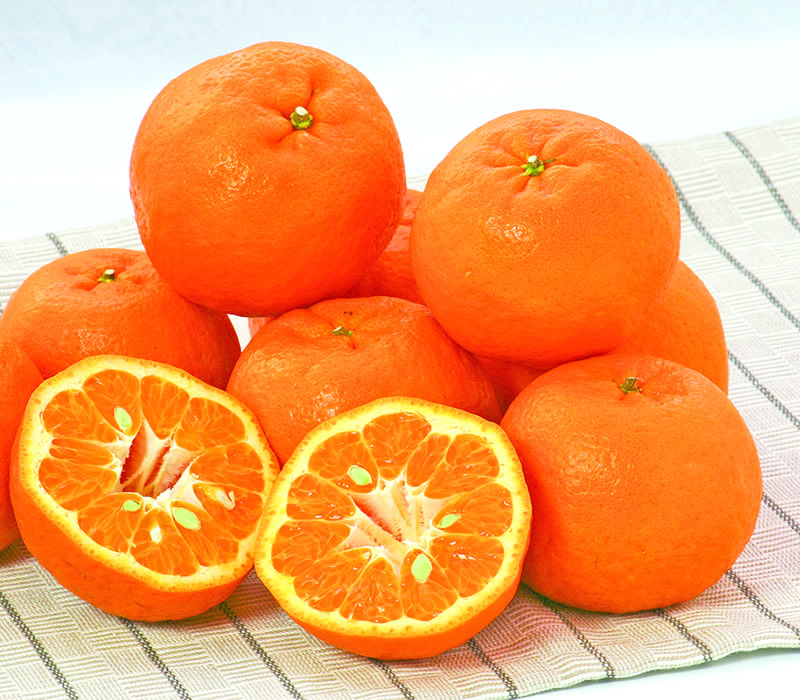 積み上げたぽんかん