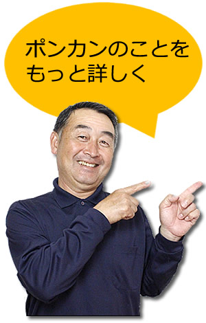 ポンカンのことをもっと詳しくご説明