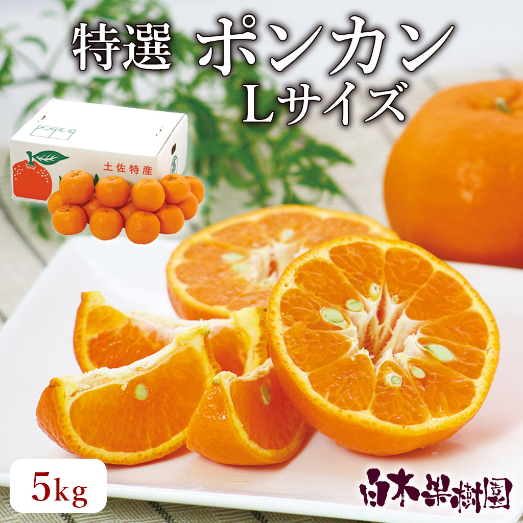 ポンカンLサイズ約5kg
