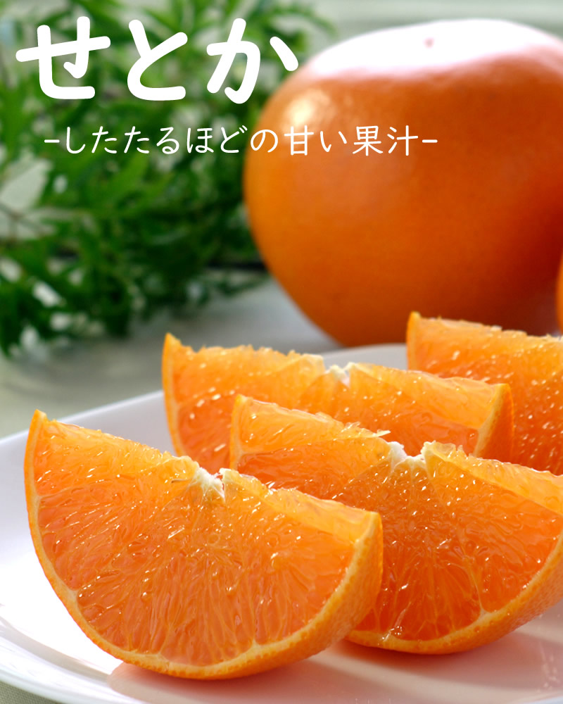 温暖な気候の下で栽培された、高知県産温室せとか