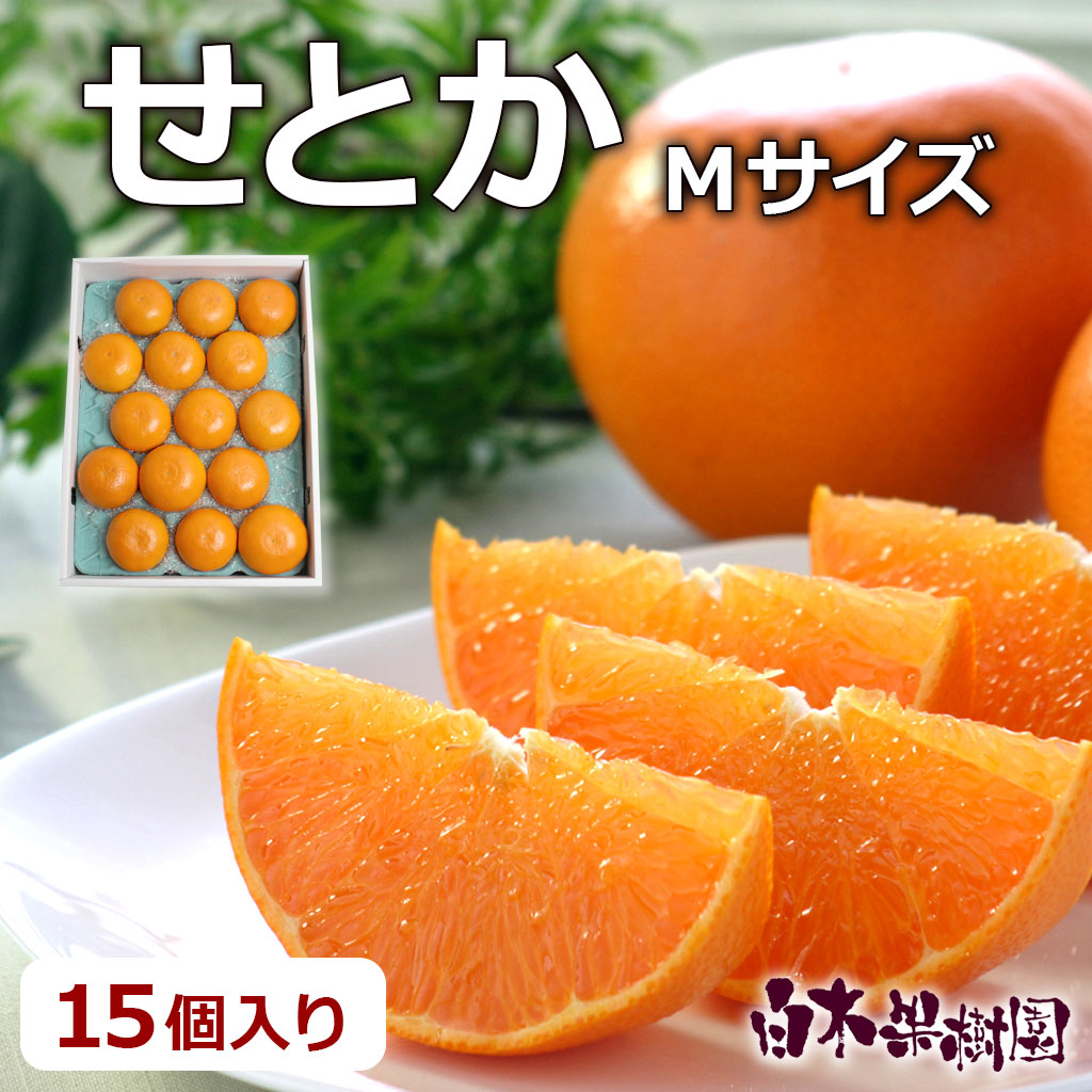 特選せとかご贈答用　Mサイズ