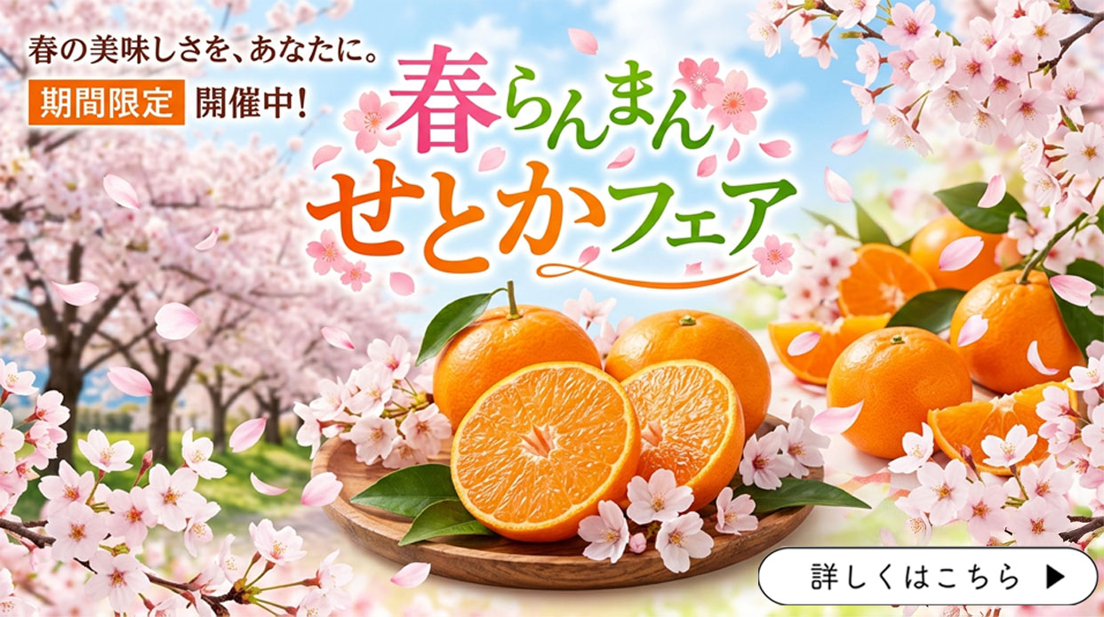 せとか　春らんまん　爛漫　フェア