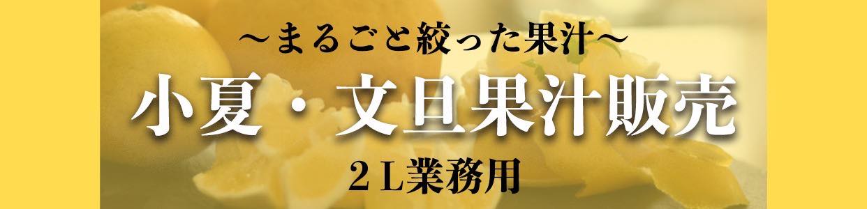 文旦 小夏 ぶんたん 日向夏 冷凍果汁