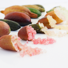 フルーツキャビア