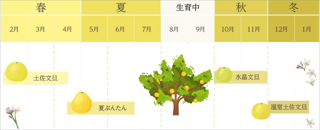 文旦カレンダー