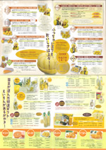 2013年土佐文旦　裏