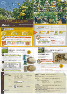 2014年土佐文旦　表