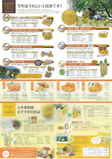 2014年土佐文旦　裏