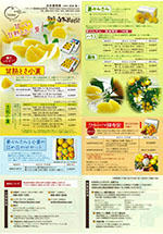 2016年土佐小夏＆夏ぶんたん