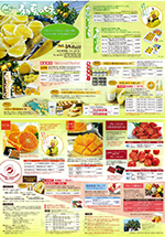 2018年土佐小夏＆夏ぶんたん