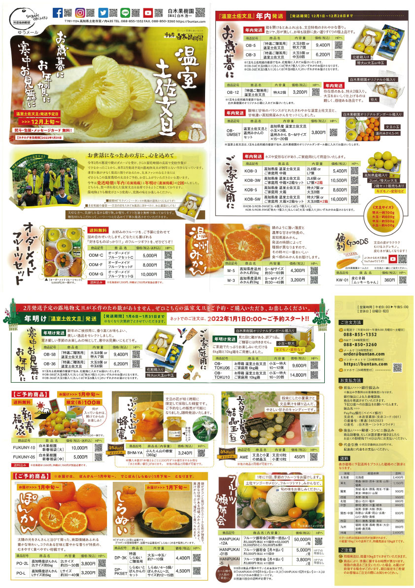 2021年温室土佐文旦