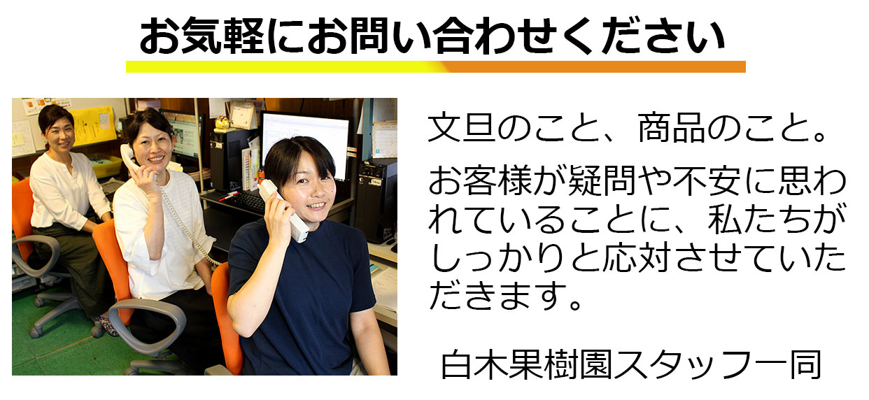 お気軽にお問い合わせください