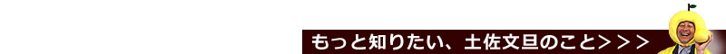 土佐文旦のことを詳しくご紹介します