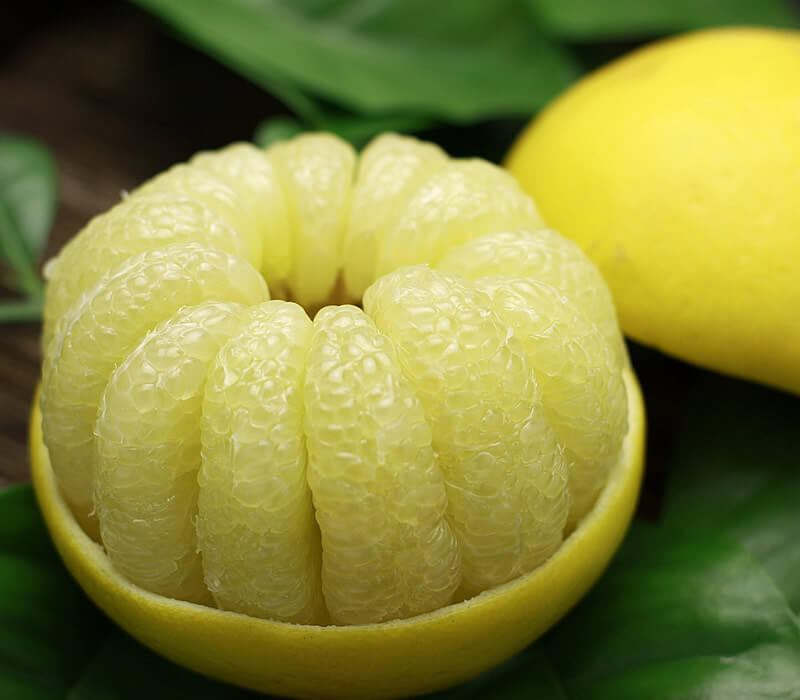 土佐文旦 ぶんたん