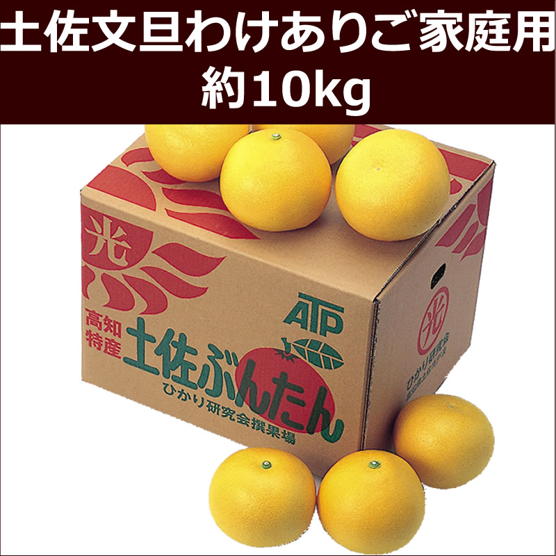 土佐文旦わけありご家庭用　約10kg