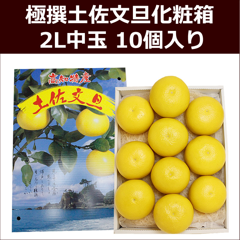 極撰土佐文旦化粧箱　2L中玉 10個入り
