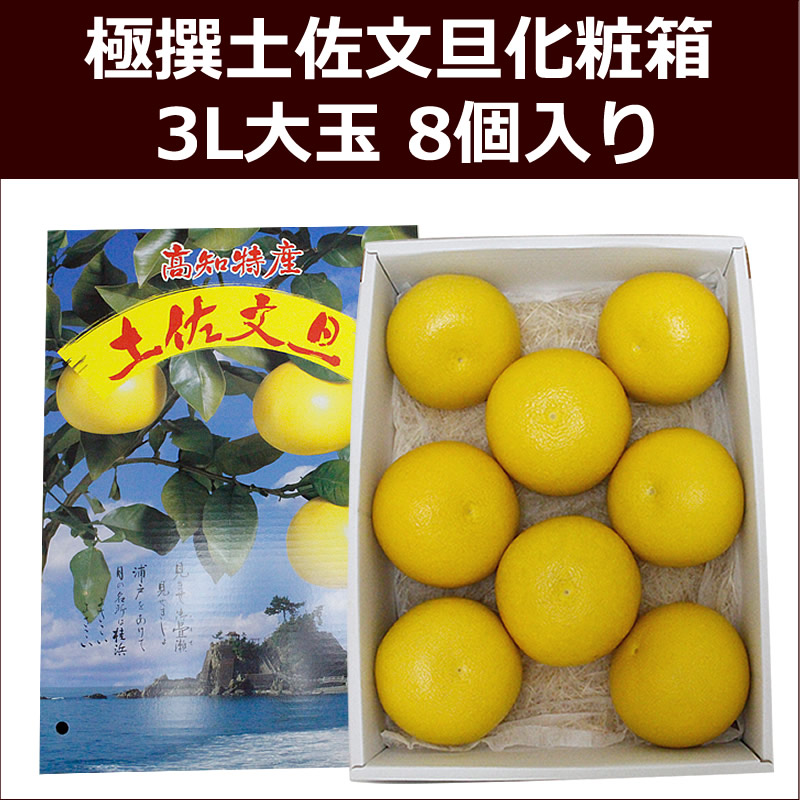 極撰土佐文旦化粧箱　3L大玉 8個入り