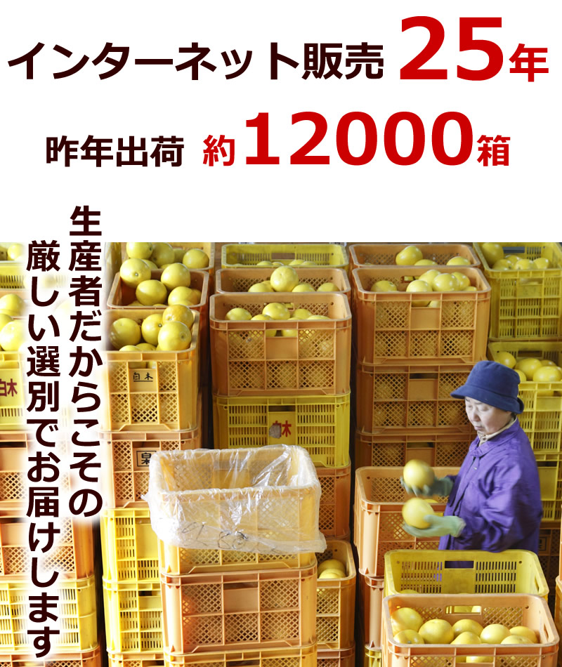 インターネット販売25年。