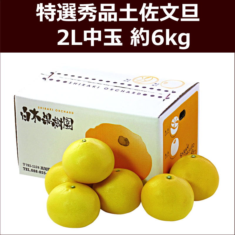 特選秀品土佐文旦　2L中玉 約6kg