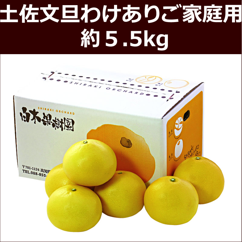 土佐文旦わけありご家庭用　約5.5kg