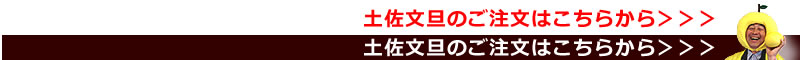 土佐文旦のご注文はこちらから