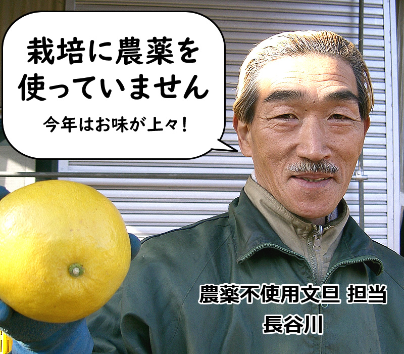 無農薬で栽培しました