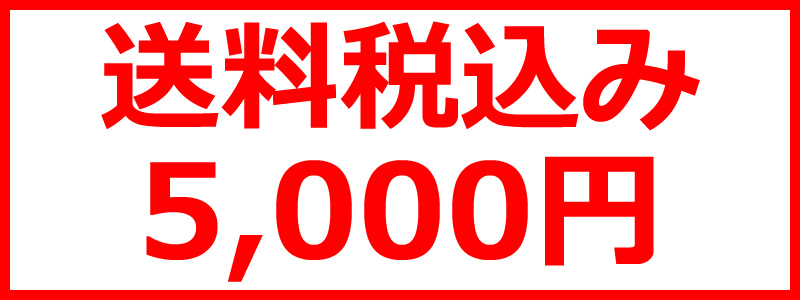 送料税込み5000円
