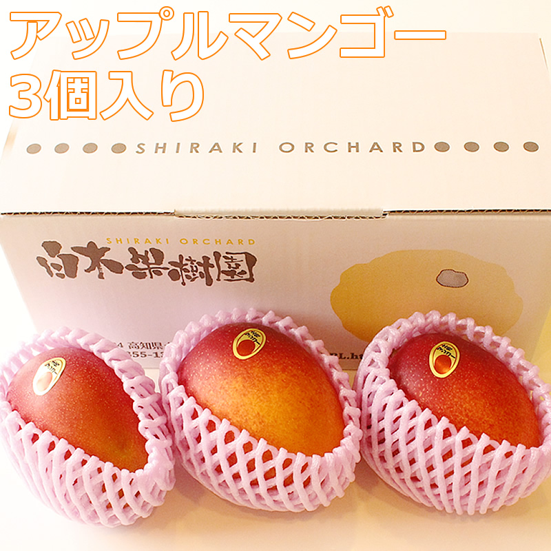アップル土佐マンゴー 3個入り