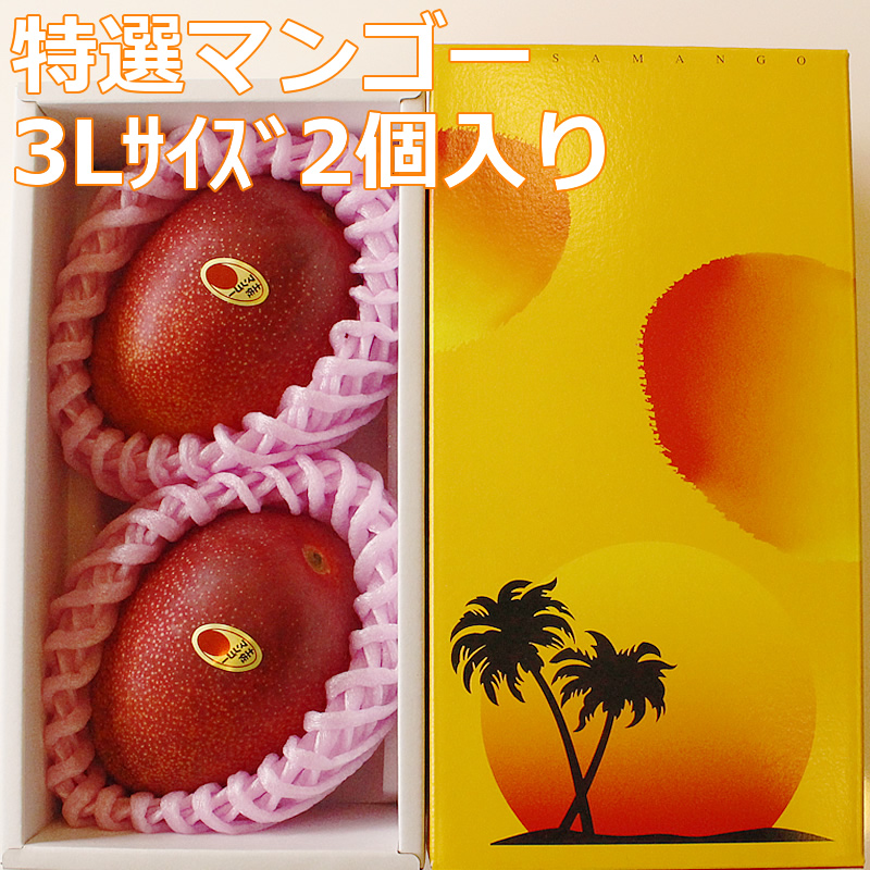 特選アップル土佐マンゴー 3Lサイズ2個入り