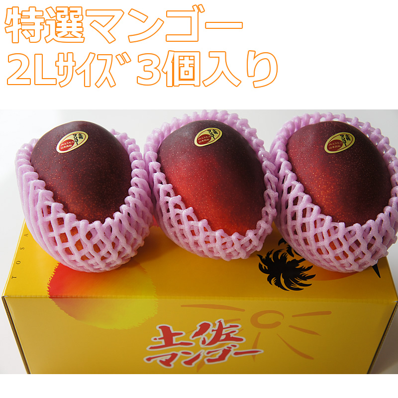 特選アップル土佐マンゴー　2Lサイズ3個入り
