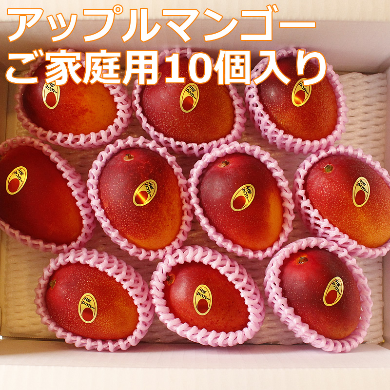 アップル土佐マンゴー ご家庭用10個入り