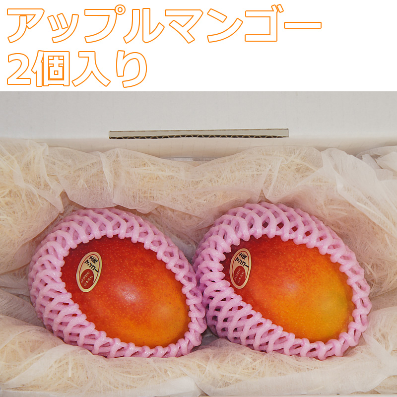 アップル土佐マンゴー 2個入り