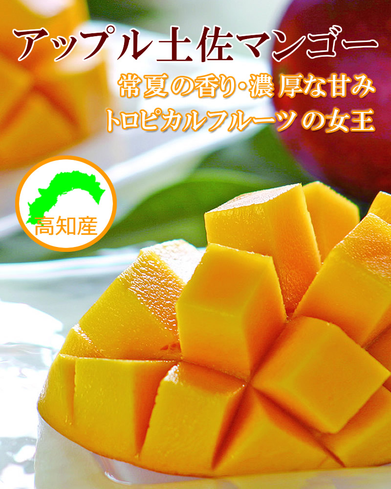 高知県産マンゴー